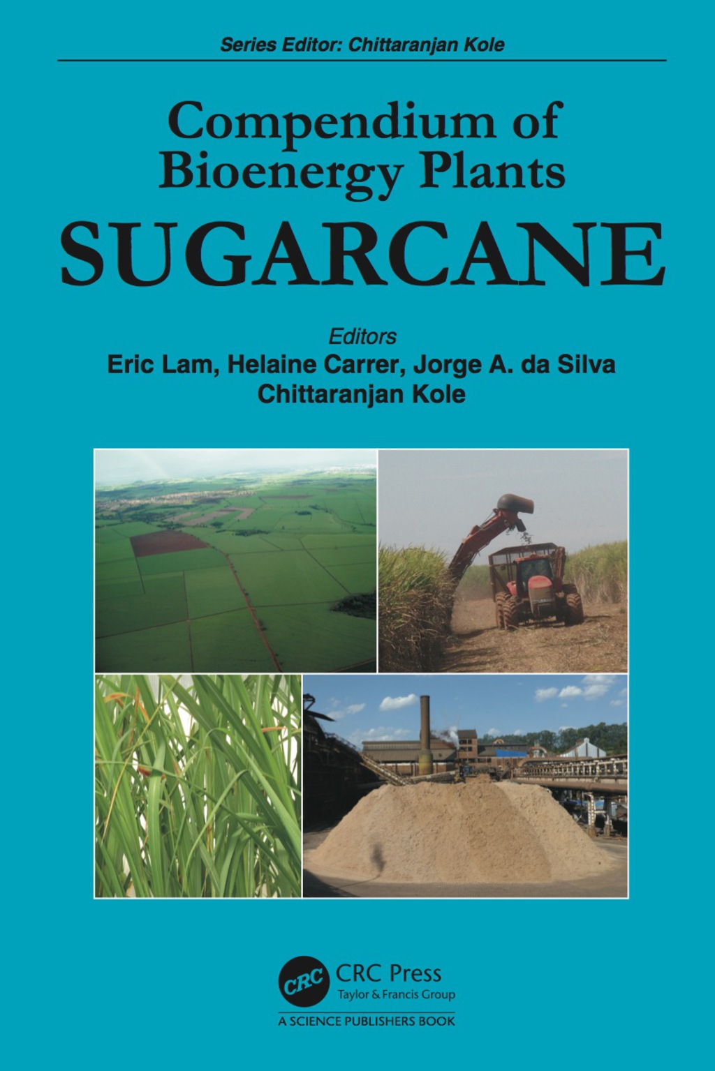 Compendium of Bioenergy Plants Sugarcane 1st Edition