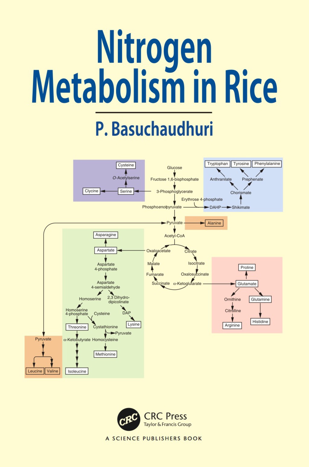 Nitrogen Metabolism in Rice 1st Edition