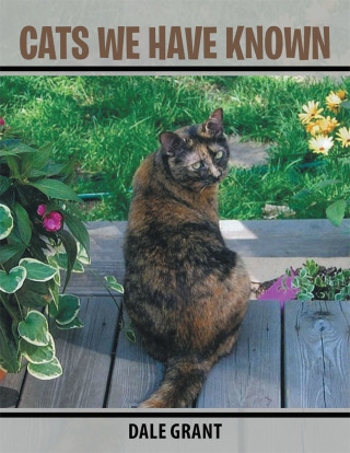 Titelbild: Cats We Have Known 9781499003185
