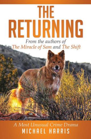 Cover image: The Returning 9781499011456