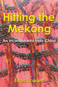 Cover image: Hitting the Mekong 9781499015072