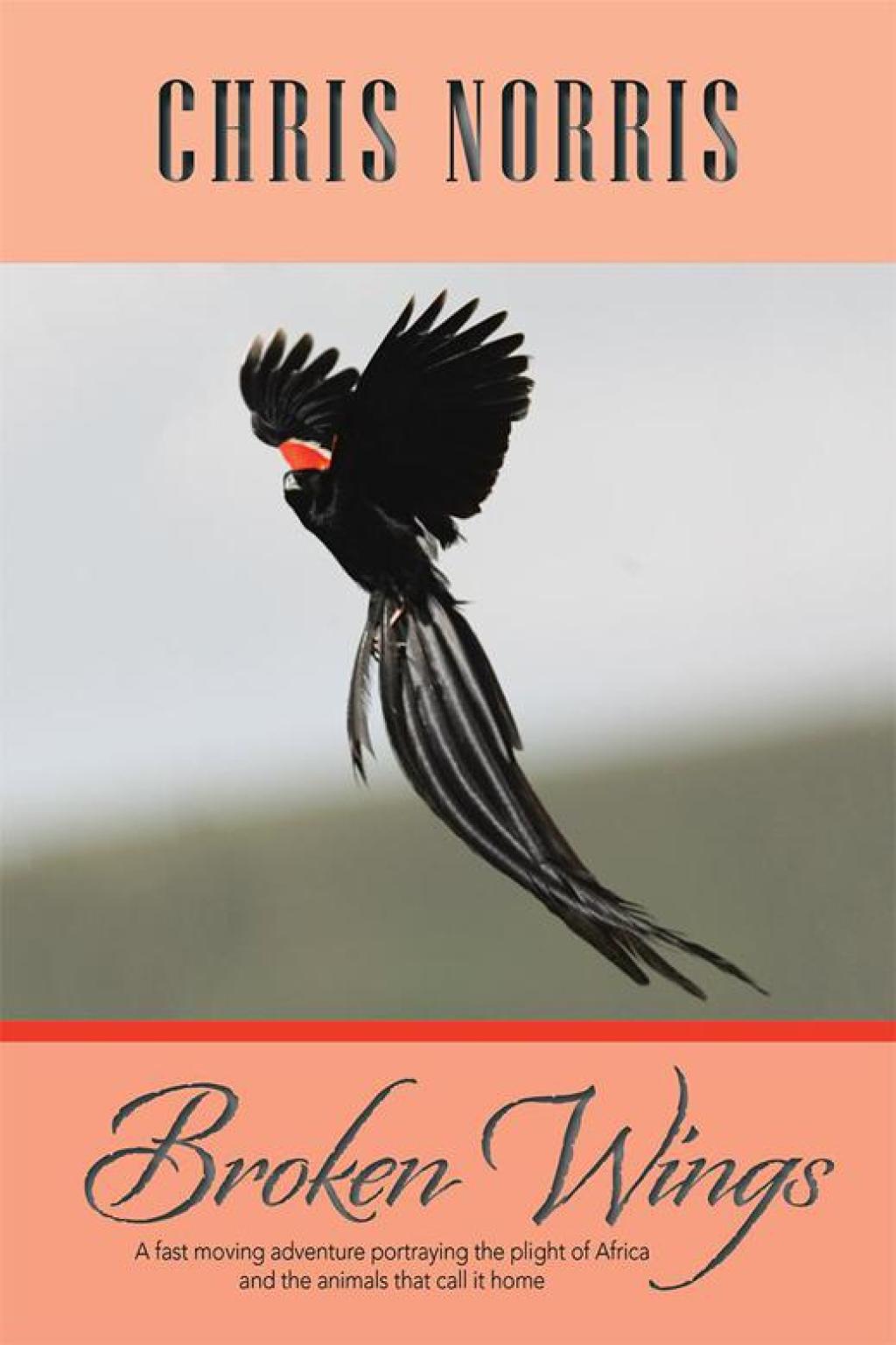Broken Wings eBook