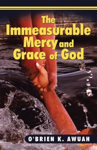 Omslagafbeelding: The Immeasurable Mercy and Grace of God 9781499043983
