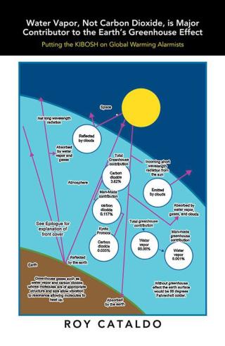 表紙画像: Water Vapor, Not Carbon Dioxide, Is Major Contributor to the Earth's Greenhouse Effect 9781499063172