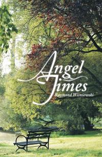 Cover image: Angel Times 9781499068702