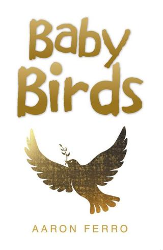 Imagen de portada: Baby Birds 9781499080490