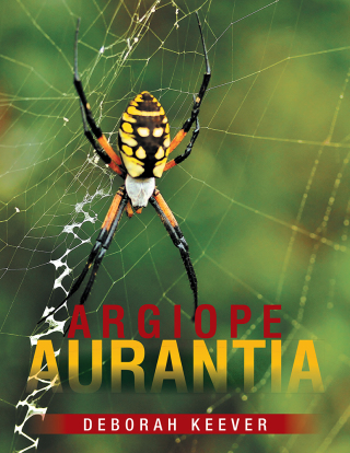 Cover image: Argiope Aurantia 9781499085648