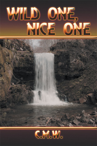 Cover image: Wild One, Nice One 9781499086072