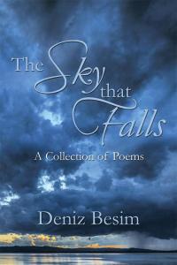 Cover image: The Sky That Falls 9781499087062