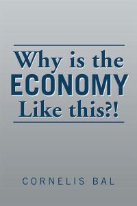 Imagen de portada: Why Is the Economy Like This?! 9781499091779