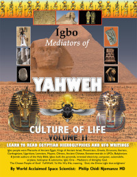 Cover image: Igbo Mediators of Yahweh Culture of Life 9781499096767