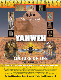 Cover image: Igbo Mediators of Yahweh Culture of Life 9781499096880