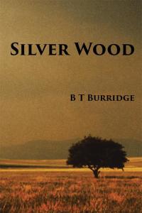 Cover image: Silver Wood 9781499098044