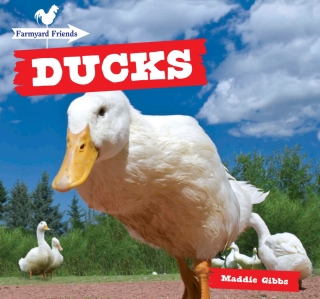 Imagen de portada: Ducks 9781499400984
