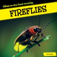 Imagen de portada: Fireflies 9781499401141