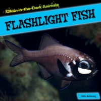 Imagen de portada: Flashlight Fish 9781499401202