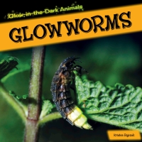 Cover image: Glowworms 9781499401264