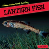 Cover image: Lantern Fish 9781499401479