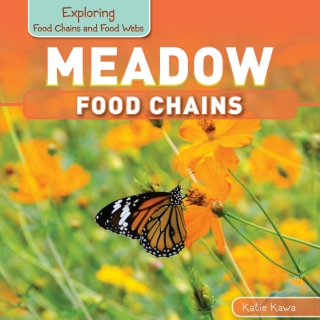 Cover image: Meadow Food Chains 9781499401554