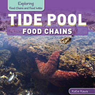 Imagen de portada: Tide Pool Food Chains 9781499402063