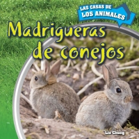 Cover image: Madrigueras de conejos (Inside Rabbit Burrows) 9781499405675