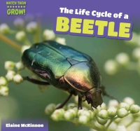 Cover image: The Life Cycle of a Beetle 9781499406603