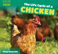 صورة الغلاف: The Life Cycle of a Chicken 9781499406641