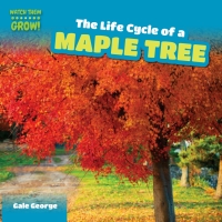 صورة الغلاف: The Life Cycle of a Maple Tree 9781499406771