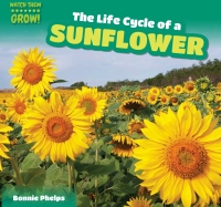 صورة الغلاف: The Life Cycle of a Sunflower 9781499406849