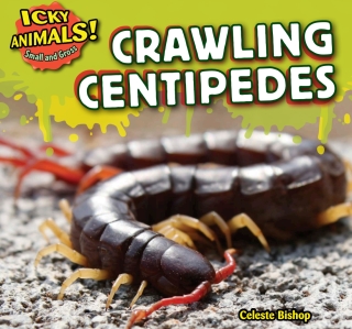 Imagen de portada: Crawling Centipedes 9781499406924