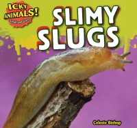 Imagen de portada: Slimy Slugs 9781499407136