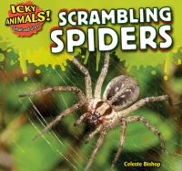 Imagen de portada: Scrambling Spiders 9781499407174