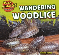 Cover image: Wandering Woodlice 9781499407242