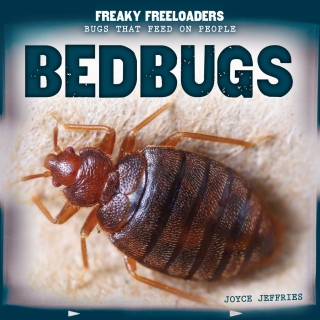 Imagen de portada: Bedbugs 9781499407426