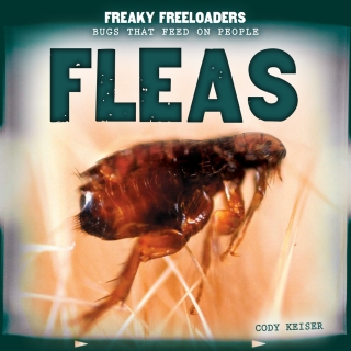 Imagen de portada: Fleas 9781499407501