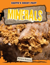 Imagen de portada: Minerals 9781499408218