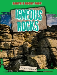 Imagen de portada: Igneous Rocks 9781499408294