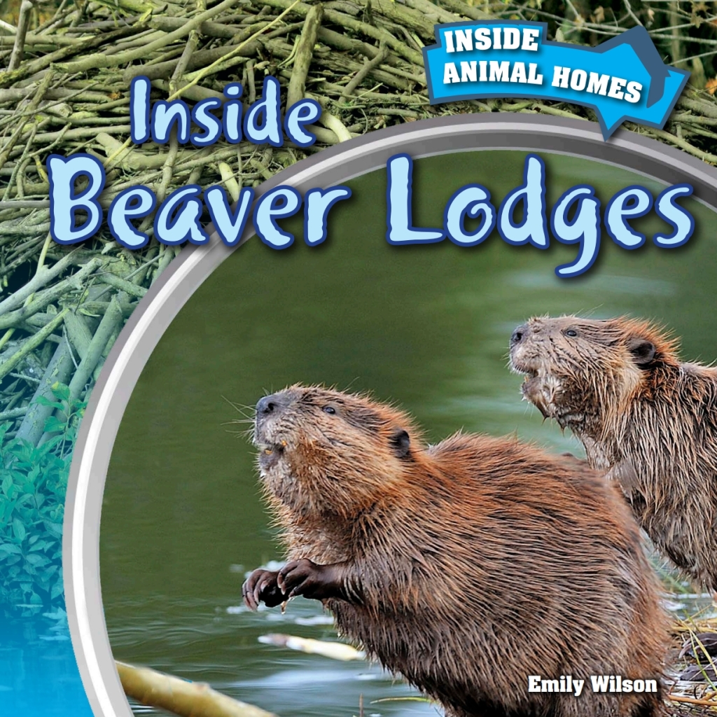 Inside Beaver Lodges