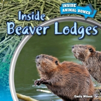 Omslagafbeelding: Inside Beaver Lodges 9781499408720