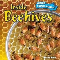 表紙画像: Inside Beehives 9781499408737