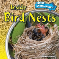 Omslagafbeelding: Inside Bird Nests 9781499408744