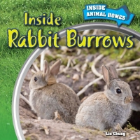 表紙画像: Inside Rabbit Burrows 9781499408768