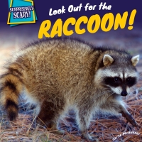 صورة الغلاف: Look Out for the Raccoon! 9781499408829