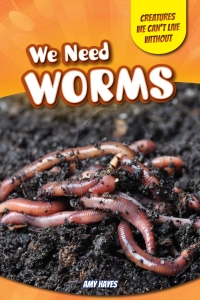 Omslagafbeelding: We Need Worms 9781499409864