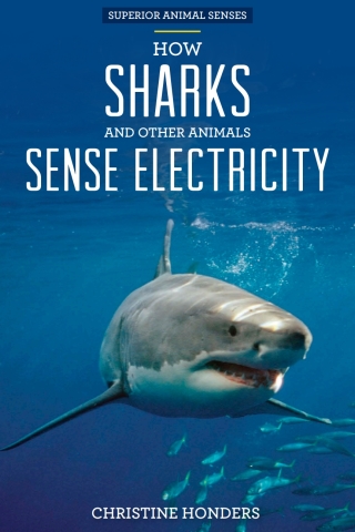 Cover image: How Sharks and Other Animals Sense Electricity 9781499409949