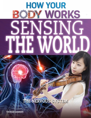 Cover image: Sensing the World 9781499412321