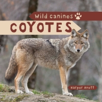 Imagen de portada: Coyotes 9781499420173