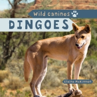 Imagen de portada: Dingoes 9781499420210