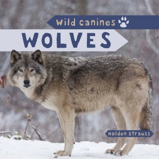 表紙画像: Wolves 9781499420258