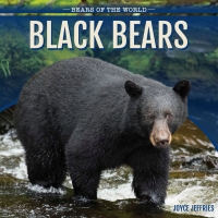 Cover image: Black Bears 9781499420340